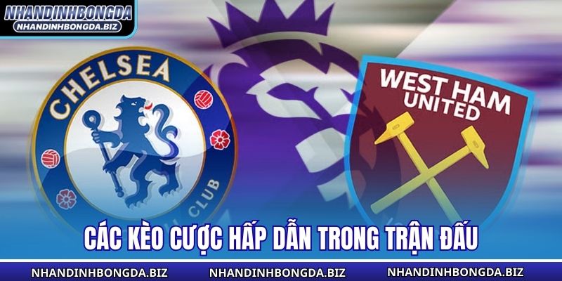 Các kèo cược hấp dẫn trong trận đấu