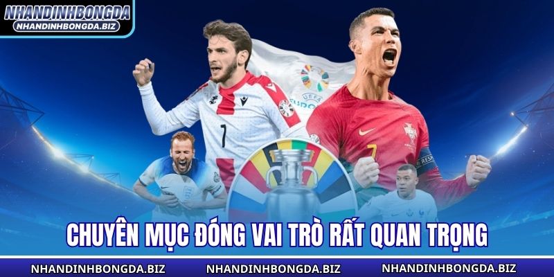 Chuyên mục đóng vai trò rất quan trọng
