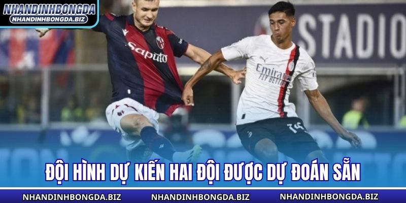 Đội hình dự kiến hai đội được dự đoán sẵn