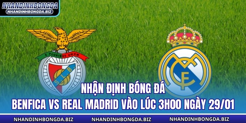 Nhận Định Bóng Đá Benfica vs Real Madrid