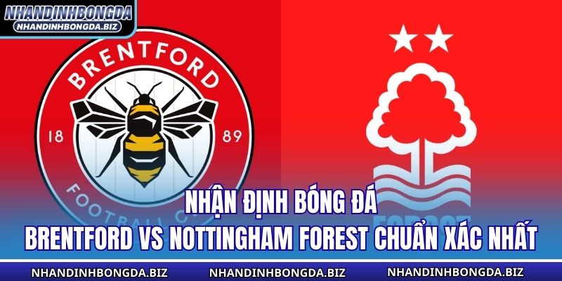 Nhận Định Bóng Đá Brentford Vs Nottingham Forest