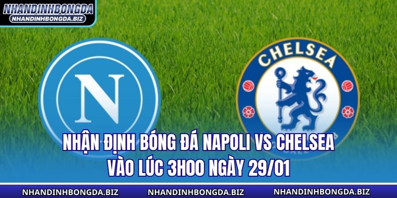Nhận Định Bóng Đá Napoli Vs Chelsea