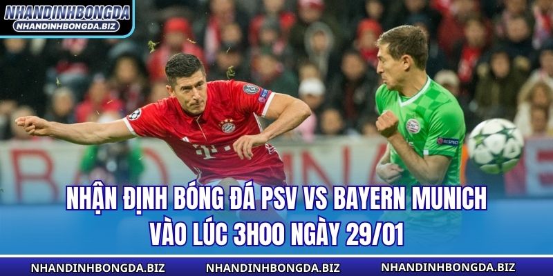 Nhận Định Bóng Đá PSV Vs Bayern Munich