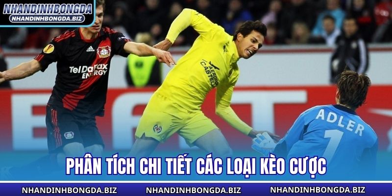 Phân tích chi tiết các loại kèo cược