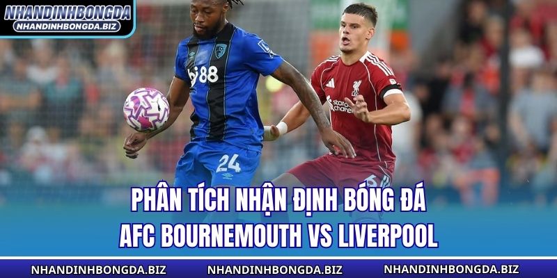 Phân tích nhận định bóng đá AFC Bournemouth vs Liverpool