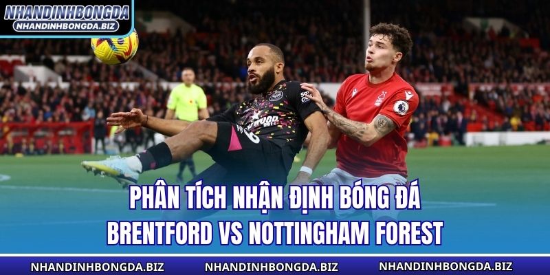 Phân tích nhận định bóng đá Brentford vs Nottingham Forest