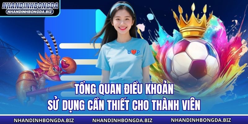 Tổng quan điều khoản sử dụng cần thiết cho thành viên