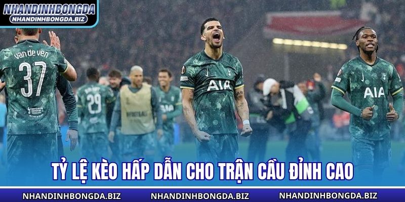 Tỷ lệ kèo hấp dẫn cho trận cầu đỉnh cao