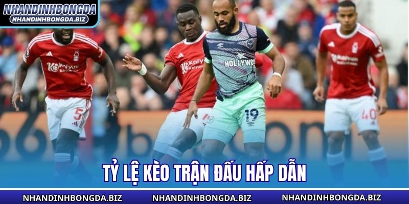 Tỷ lệ kèo trận đấu hấp dẫn