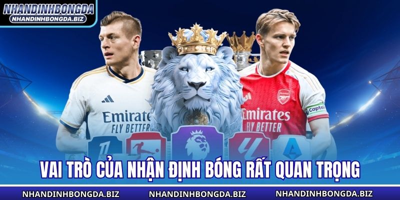 Vai trò của nhận định bóng rất quan trọng